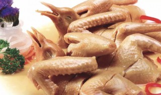 原汁蒸肉鸽(蒸鸽子肉的功效与作用)