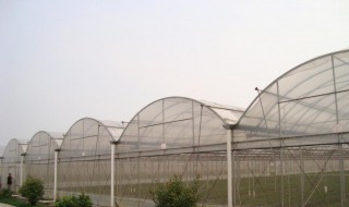 温室大棚的处理方法