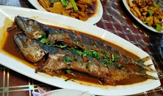 家庭红烧鲅鱼做法 家庭红烧鲅鱼做法大全