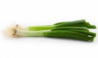 香菜和香葱怎么保鲜 香菜和香葱怎么保鲜存放