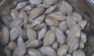 新鲜花甲螺怎么保鲜（新鲜花甲螺怎么保鲜存放）