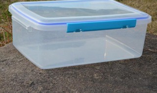 保鲜盒里面蒜味大怎么办 保鲜盒里面蒜味大怎么办小妙招