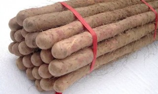 长山药怎么保鲜 长山药怎样保存