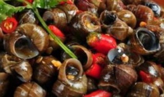 田螺做三肴（田螺做法视频教学）