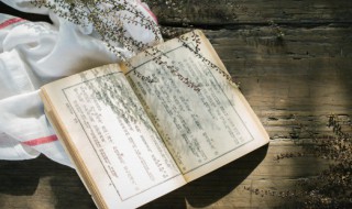 东门逐兔的典故讲了啥（东门逐兔什么意思）