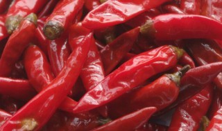 野山椒是什么辣椒 野山椒是什么辣椒品种