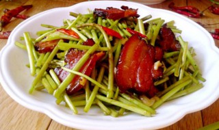 腊肉炒藜蒿 腊肉炒藜蒿图片