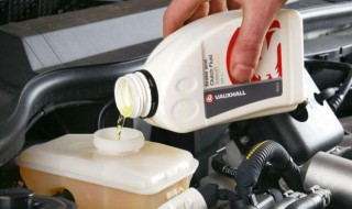 油碟的油是什么油 四川油碟的油是什么油