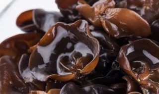 芥辣黑木耳（黑木耳芥末）