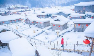 雪花为什么有各种形状 雪花的形状像什么比喻