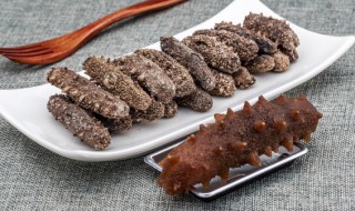 冰糖炖海参（海参可以和冰糖一起吃吗）