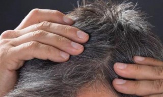 白头发真的会拔一根长三根吗(白头发真的会拔一根长三根吗视频)