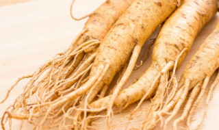 人参猪肚 人参猪肚汤的做法大全