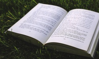 关于雨水节气的诗句有哪些(关于雨水节气的诗句有哪些四年级)