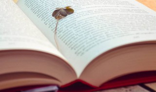 神兽归笼家长朋友圈句子有哪些(神兽归笼,家长开心)