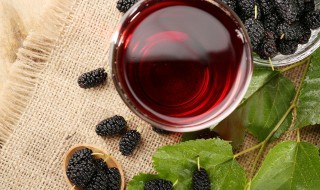 桑葚怎么挑选 桑葚怎么挑选好坏