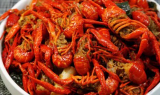 小龙虾公母怎么挑选 小龙虾公母怎么挑选视频