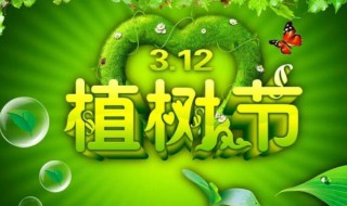 植树节来历 植树节来历英语
