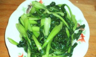 炒小白菜 炒小白菜图片