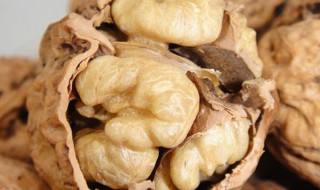 新鲜核桃怎么保鲜啊（新鲜核桃如何保鲜）