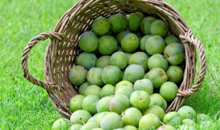 冰梅的做法和配方 冰梅的做法和配方大全