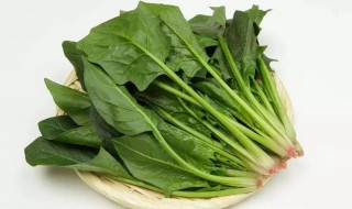 菠菜麻食的做法和配方（菠菜麻食的做法和配方大全）