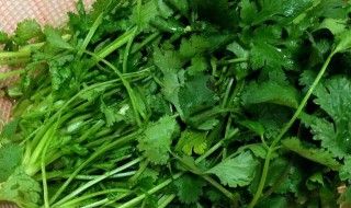 烤香菜的做法和配方（烤香菜的做法和配方窍门）