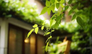 好句子10字50句 好句子10字30个