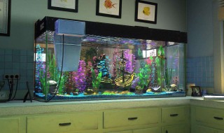 大型鱼缸制作方法（大型鱼缸制作教程）