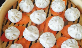 包子的做法和配方小苏打（包子的做法和配方小苏打的比例）