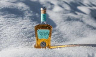 朗姆口味是什么味 朗姆味冰激凌好吃吗