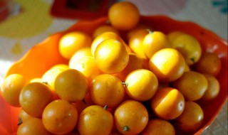 红糖片渍金桔 红糖加金桔功效