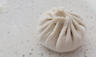 不发面的包子的做法和配方 不发面的包子的做法窍门窍门窍门