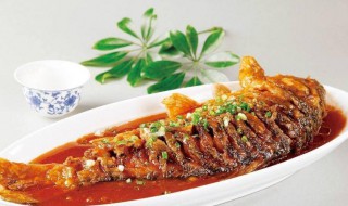 臧氏糖醋鱼 糖醋鱼源自哪里