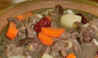 红枣煨羊肉(红枣煨羊肉的做法)