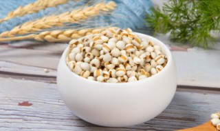 美白薏米水 薏仁美白水