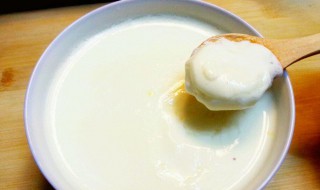 姜撞奶凝固的原理是什么(姜撞奶的反应原理)