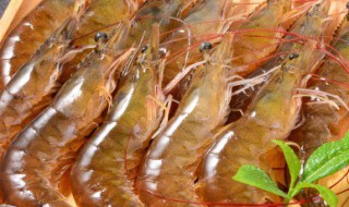 虾泥和辣椒的做法 虾泥和辣椒的做法大全