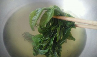 香椿烫多久（香椿烫多久熟）