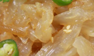 海蜇丝要煮吗 海蜇丝要煮熟吗