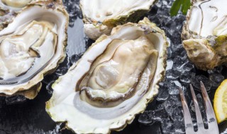 酱焖生蚝的制作方法(酱生蚝的做法)