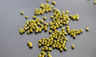 绿豆生芽了还能熬粥吗 绿豆生芽了还能熬粥吗视频