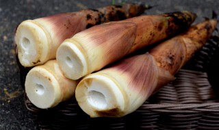 雷竹笋的腌制方法 雷竹笋的腌制方法和配方