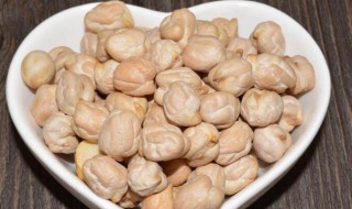 怎么挑选鹰嘴豆 怎么挑选鹰嘴豆的好坏