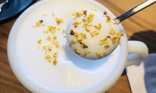 紫罗兰奶咖做法窍门(紫罗兰奶咖做法窍门图解)