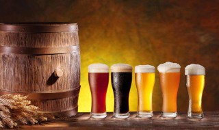 啤酒能放冰箱冷冻吗 啤酒能放冰箱冷冻吗多少度