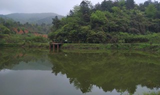 山体鱼塘怎么做不漏水（山上鱼塘建造的视频）