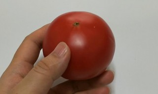 西红柿热水去皮方法 西红柿怎么热水去皮