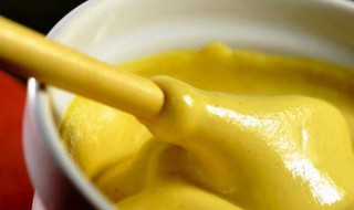 西洋芥末奶油酱 奶油芥末酱好吃吗