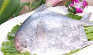 橙汁鲳鱼 桔汁鲳鱼怎么做好吃